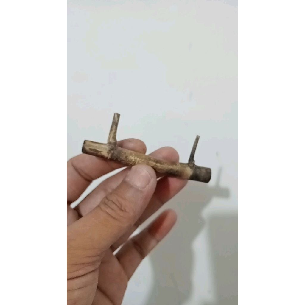 bambu asli tanpa sambungan hanting petuk