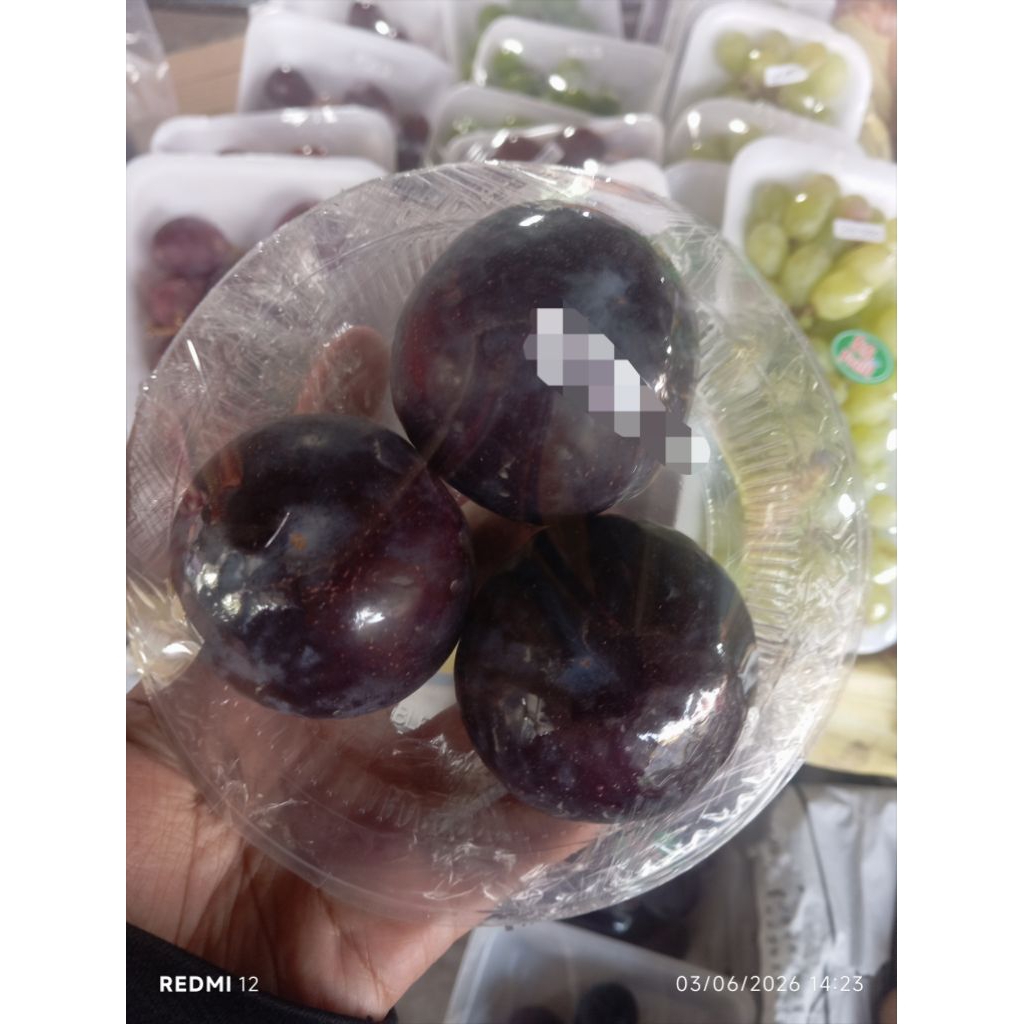 Buah Black Plum / Black Plum Fresh