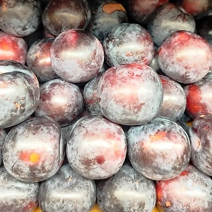 Plum black angelino buah plum hitam import 1kg