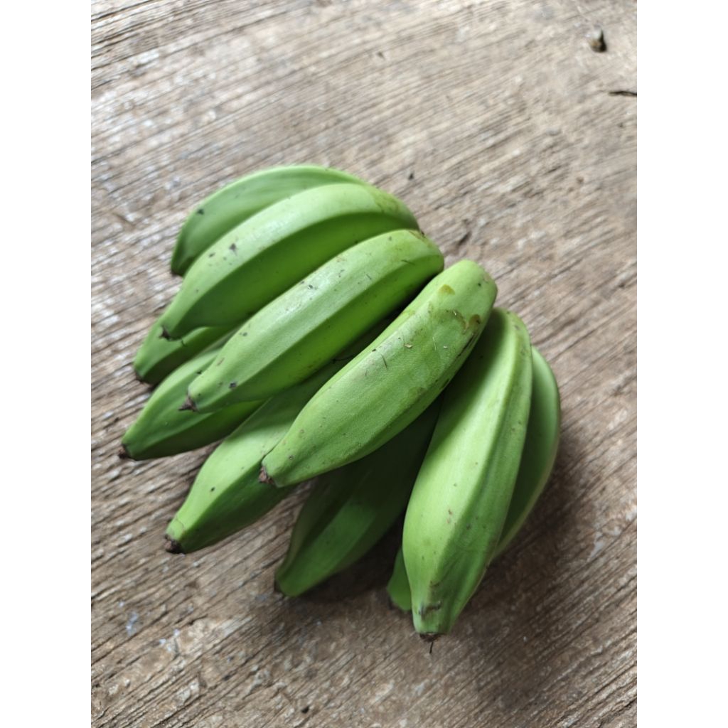 Pisang Nangka Segar Siap Matang 1 Sisir Kualitas Terbaik Siap Kirim