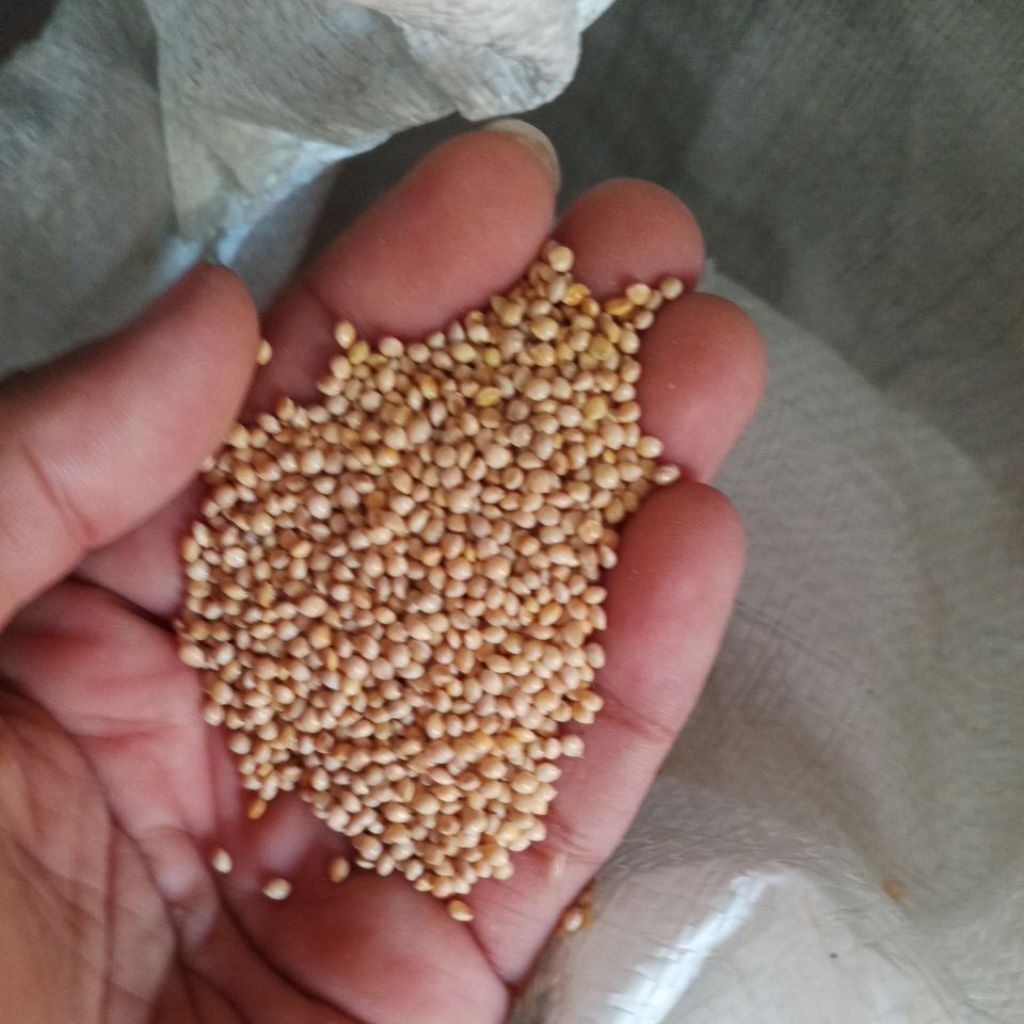 Milet Putih 1kg