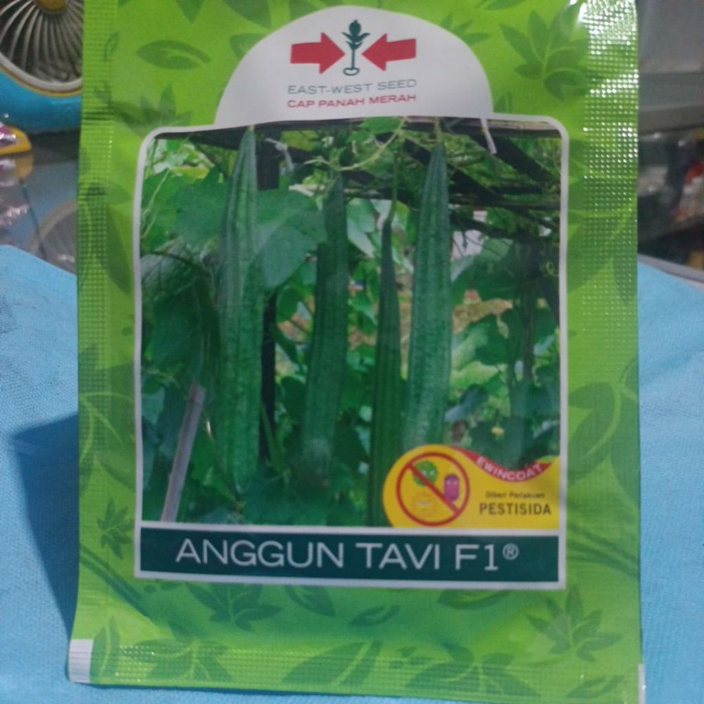Benih Oyong Anggun Tavi F1