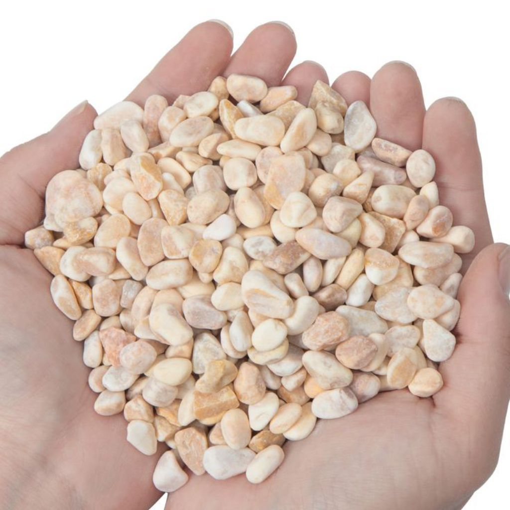 Batu coral / batu sikat crem