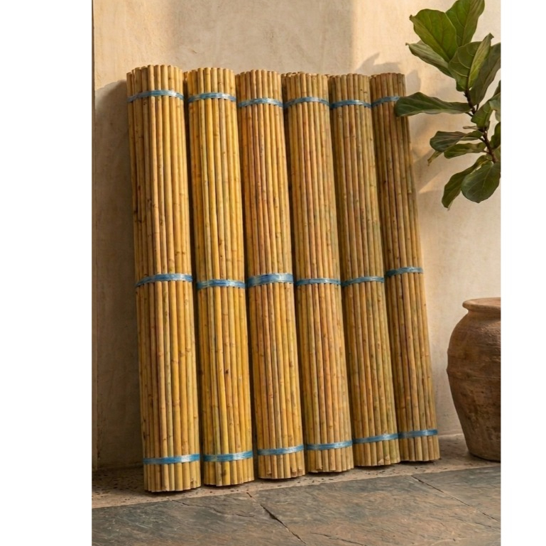 Bambu Cendani Asli- Bambu Hiasan Dekorasi - Bambu Kuning - batang bambu multifungsi