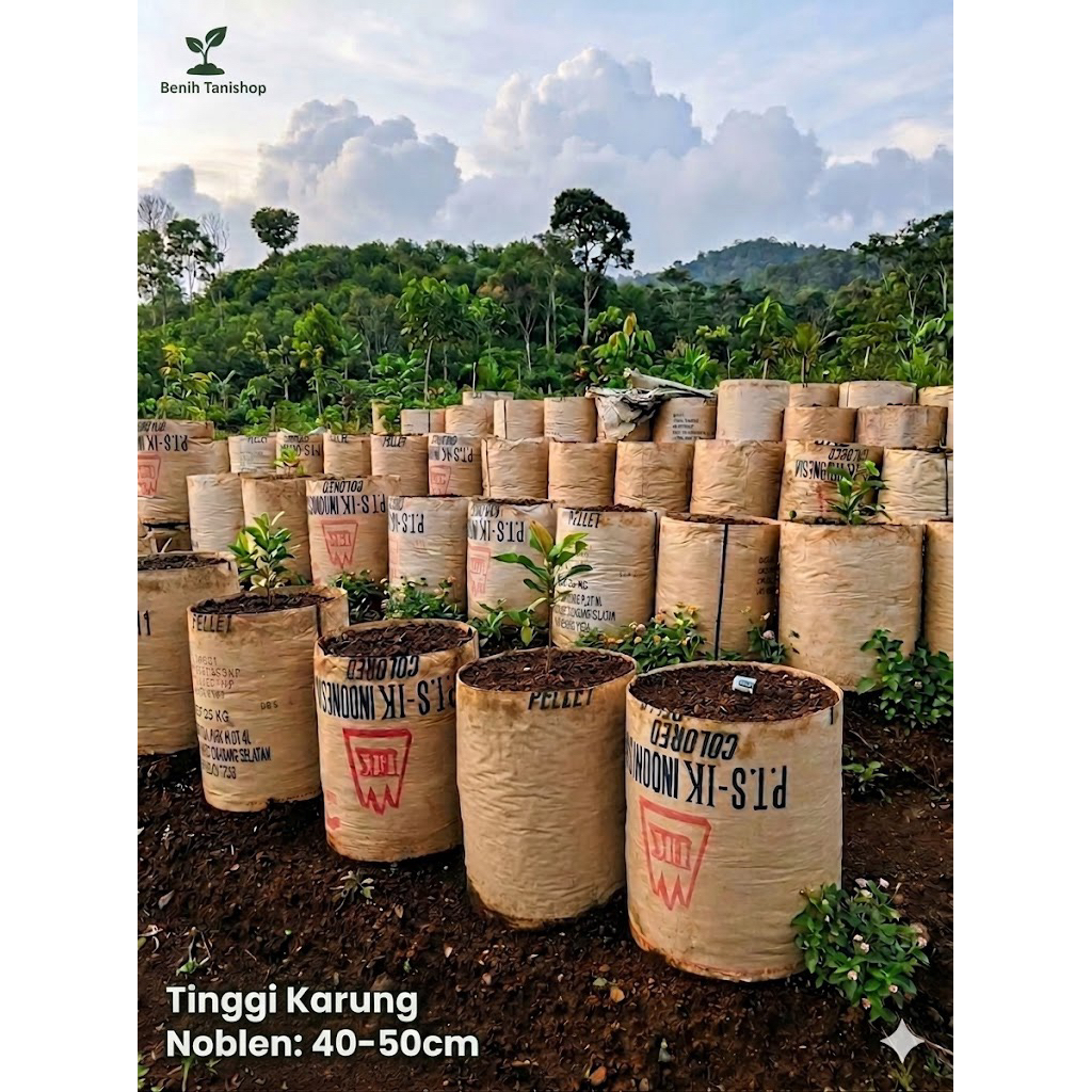 Karung Noblen Media Tanam Tinggi 40cm - 50cm / Polybag Karung Noblen Tebal Murah