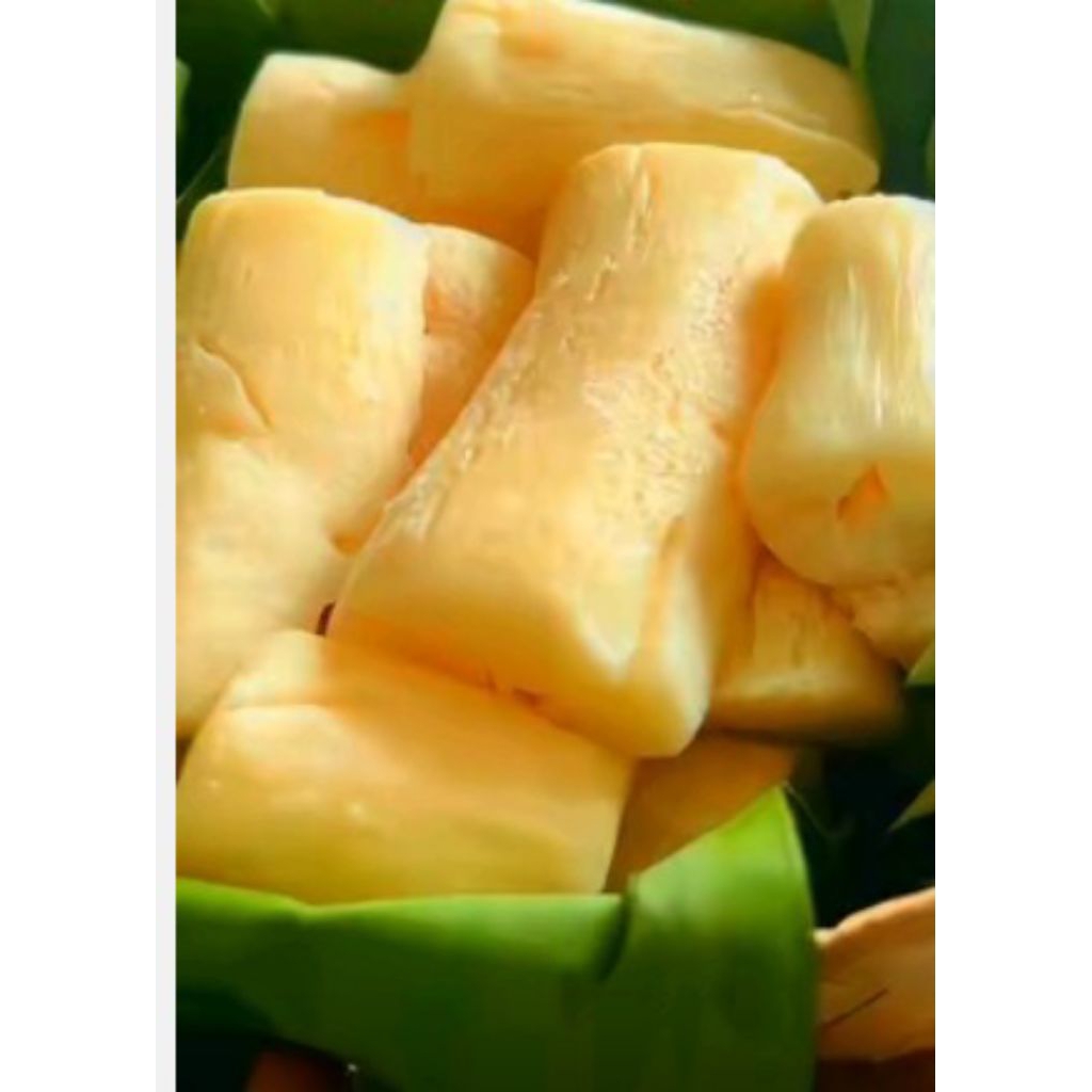 tape singkong mentega khas gembong pati