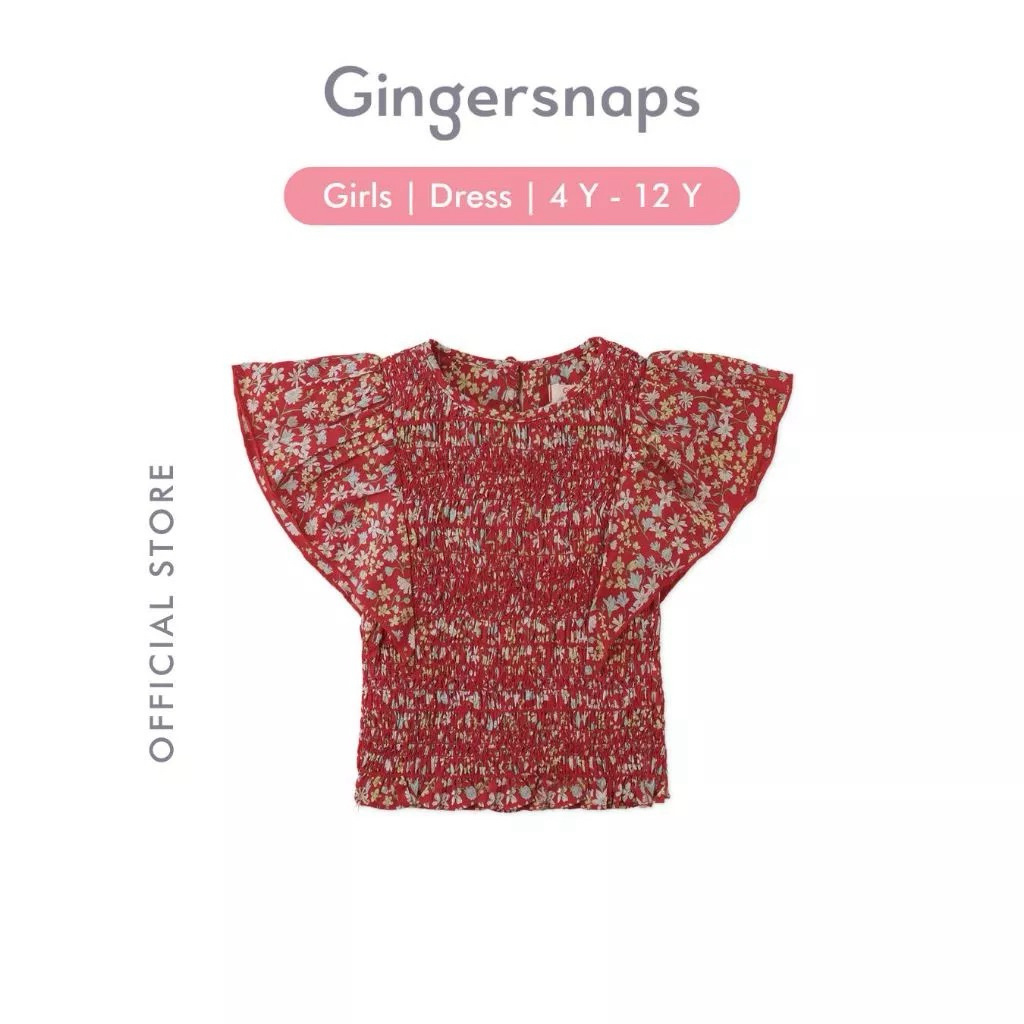 New With Tag top Gingersnaps size 4 Years