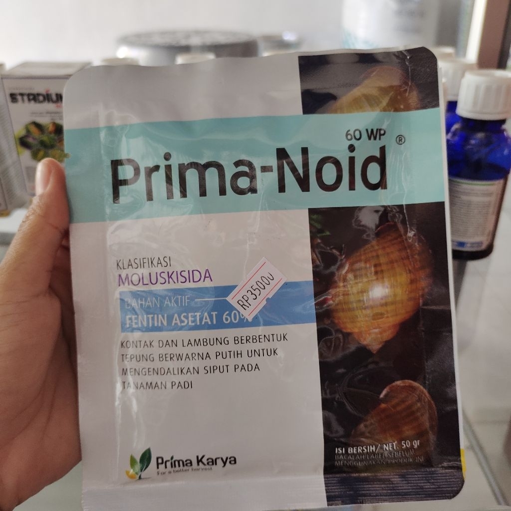 Prima - Noid  60 WP
