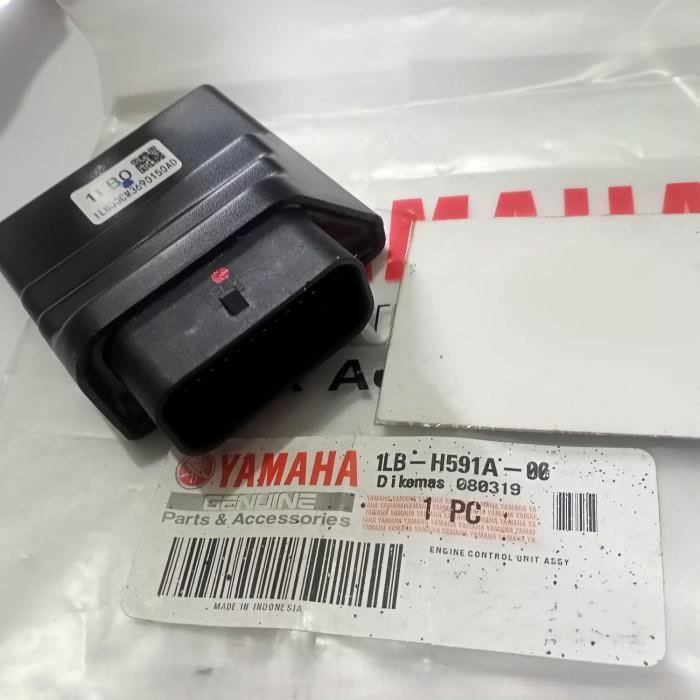 ECU XEON 1LB - H591A - 00