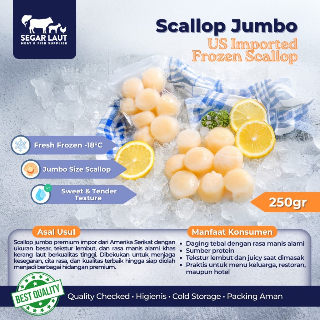 SCALLOP US IMPORT FROZEN | SCALLOP USA | SCALLOP JUMBO
