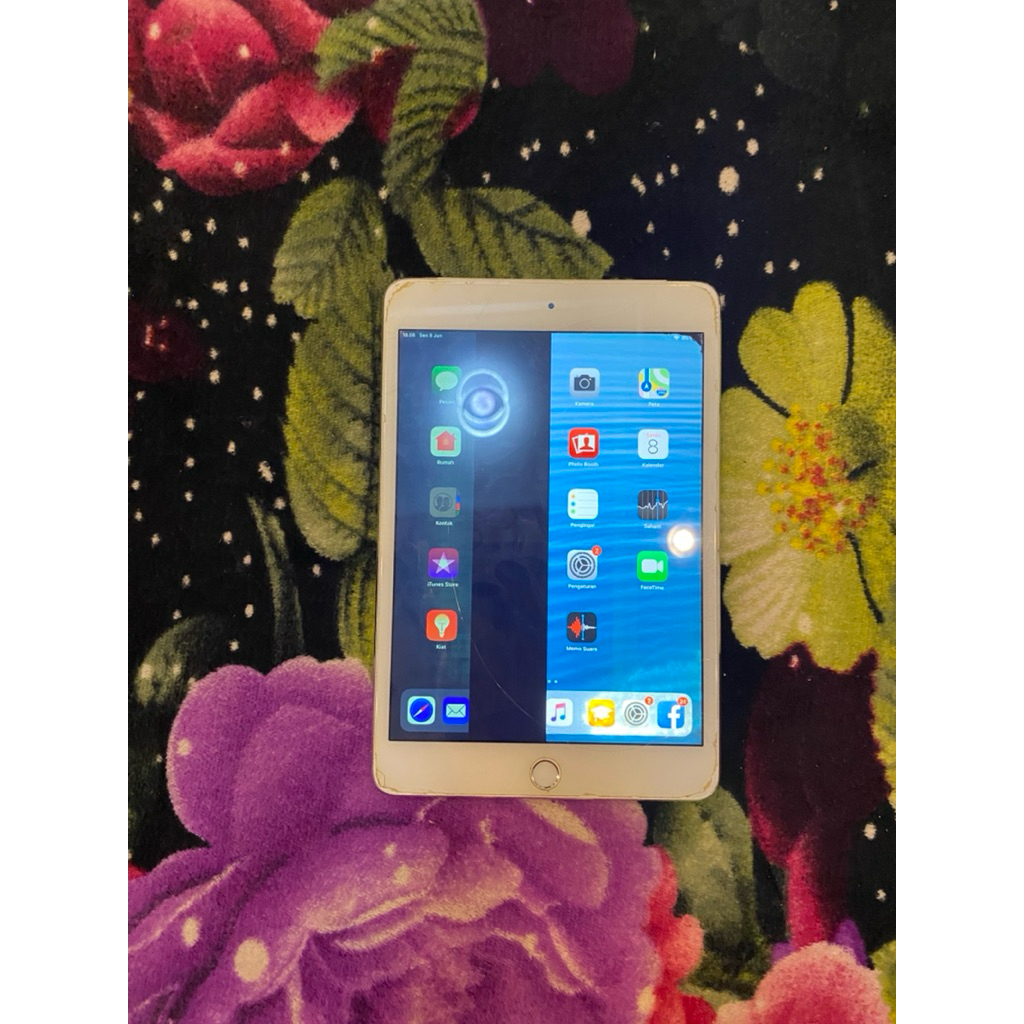iPad Mini 4 128gb wifi + cell  (minus)