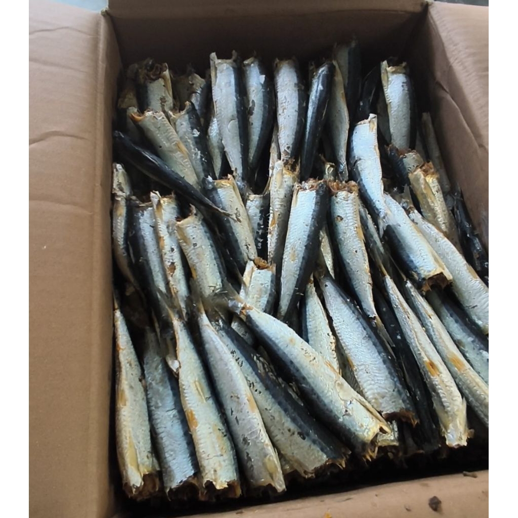 ikan asin rebus premium asli lampung