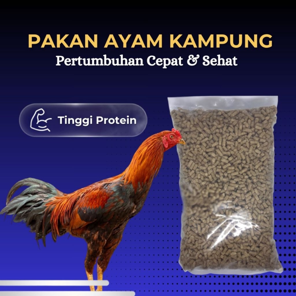 pur ayam, pakan ayam kampung, pakan ayam buras, pakan ayam bangkok.