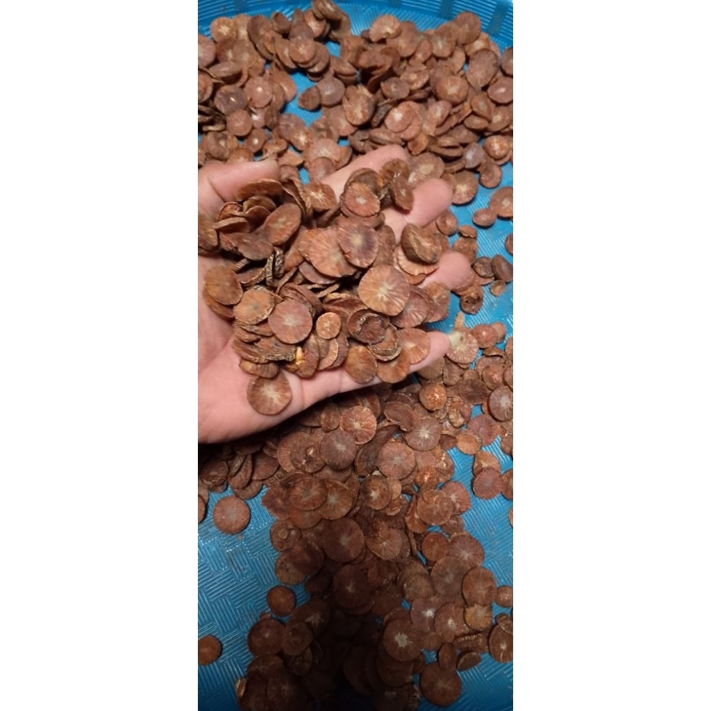 koin buah pinang iris kering 100, gr