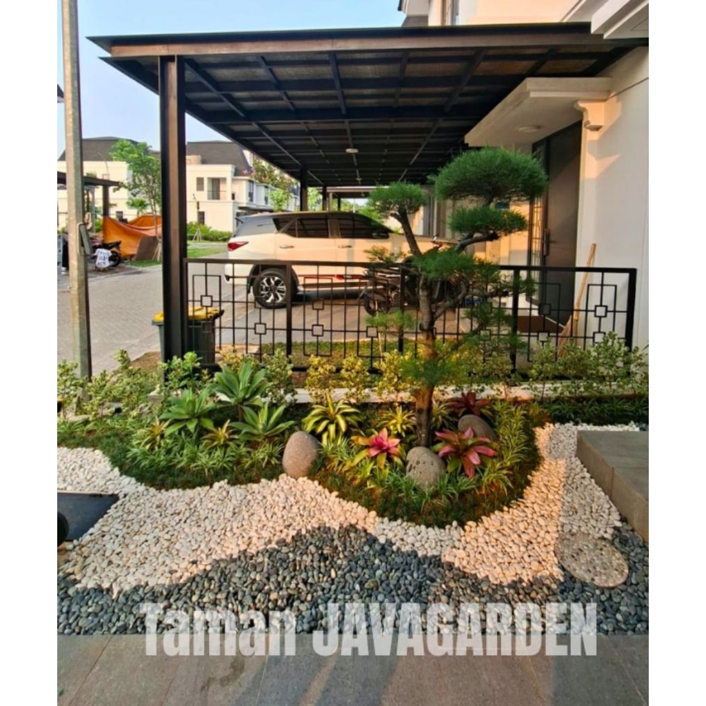 Taman Bonsai Cemara udang