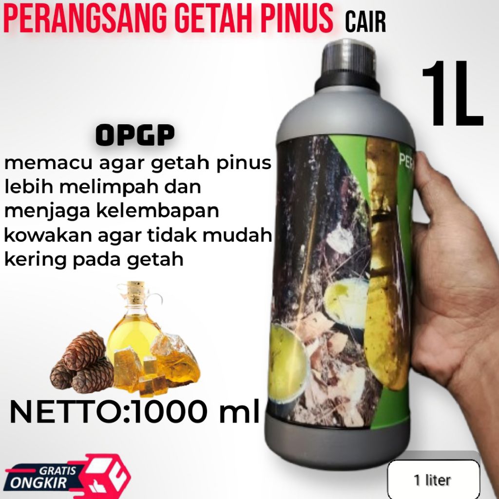 obat pohon pinus/perangsang getah pinus agar getah pinus lebih melimpah