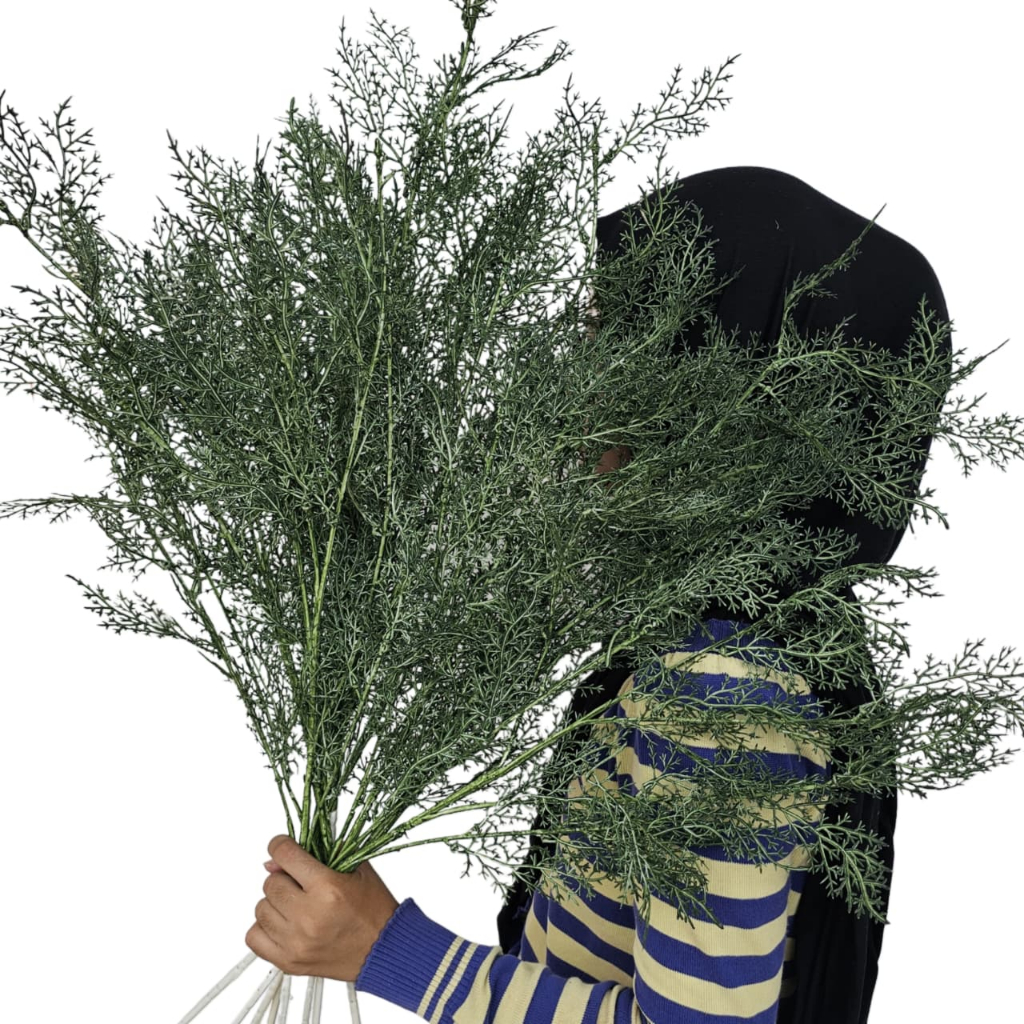 Daun Cemara Asparagus Tangkai Panjang/ Artificial Smoke Bush