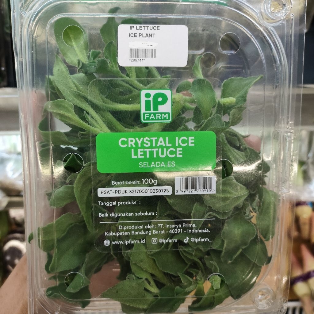 Crystal ice Lettuce Sayur Selada es ip farm spesial pack 100gram
