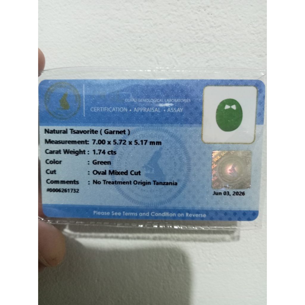 natural tsavorite garnet sudah dengan memo DGL