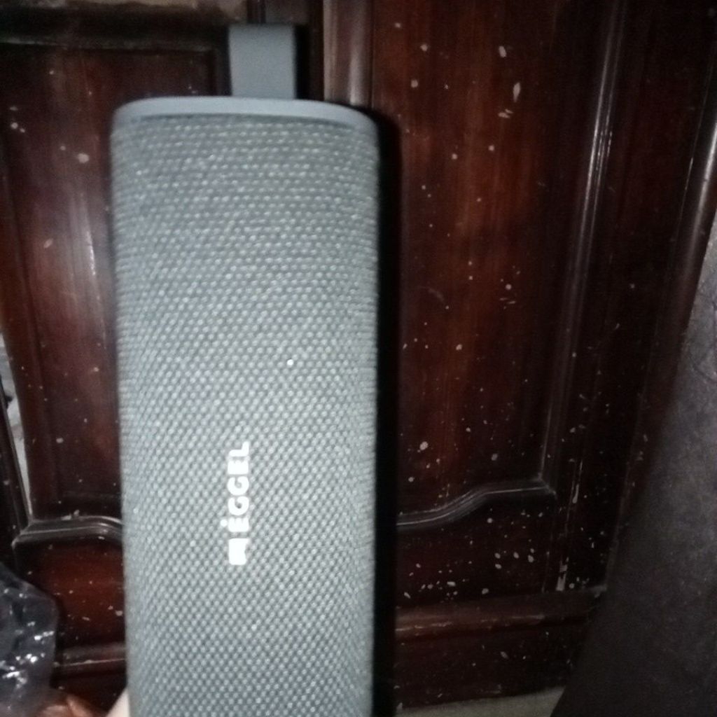 speaker second eggle