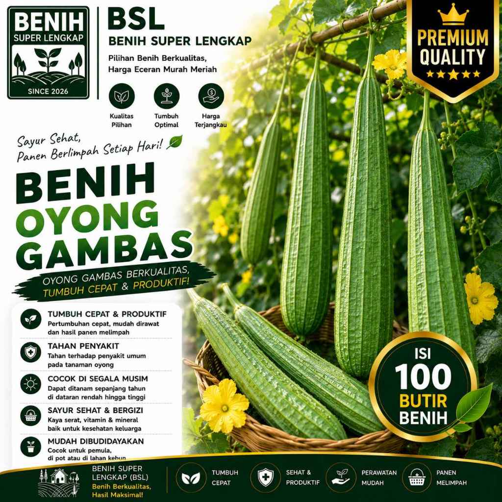 ( 100 Butir ) Benih Biji Oyong | Gambas | Emes | Luffa Acutangula | UKI BIBIT