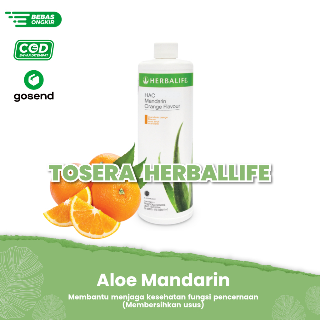 HERB4LIFE-TEH HERB4LIFE-herb4life aloe