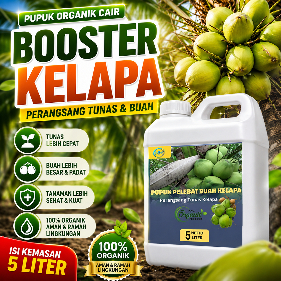 Pupuk Kelapa Agar Cepat Besar Berbuah Lebat Anti rontok | Pupuk Booster Kelapa Hibriba Hijau Pendek 