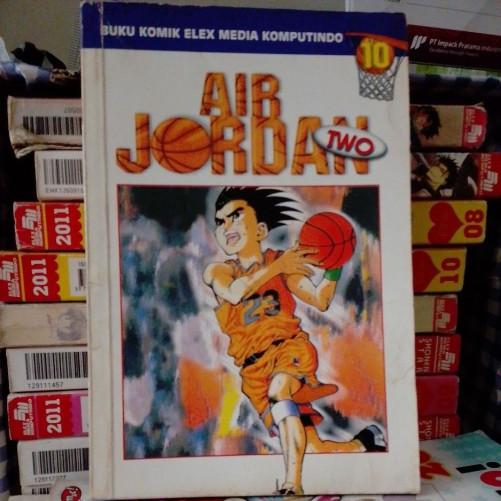 AIR JORDAN 2 vol 10
