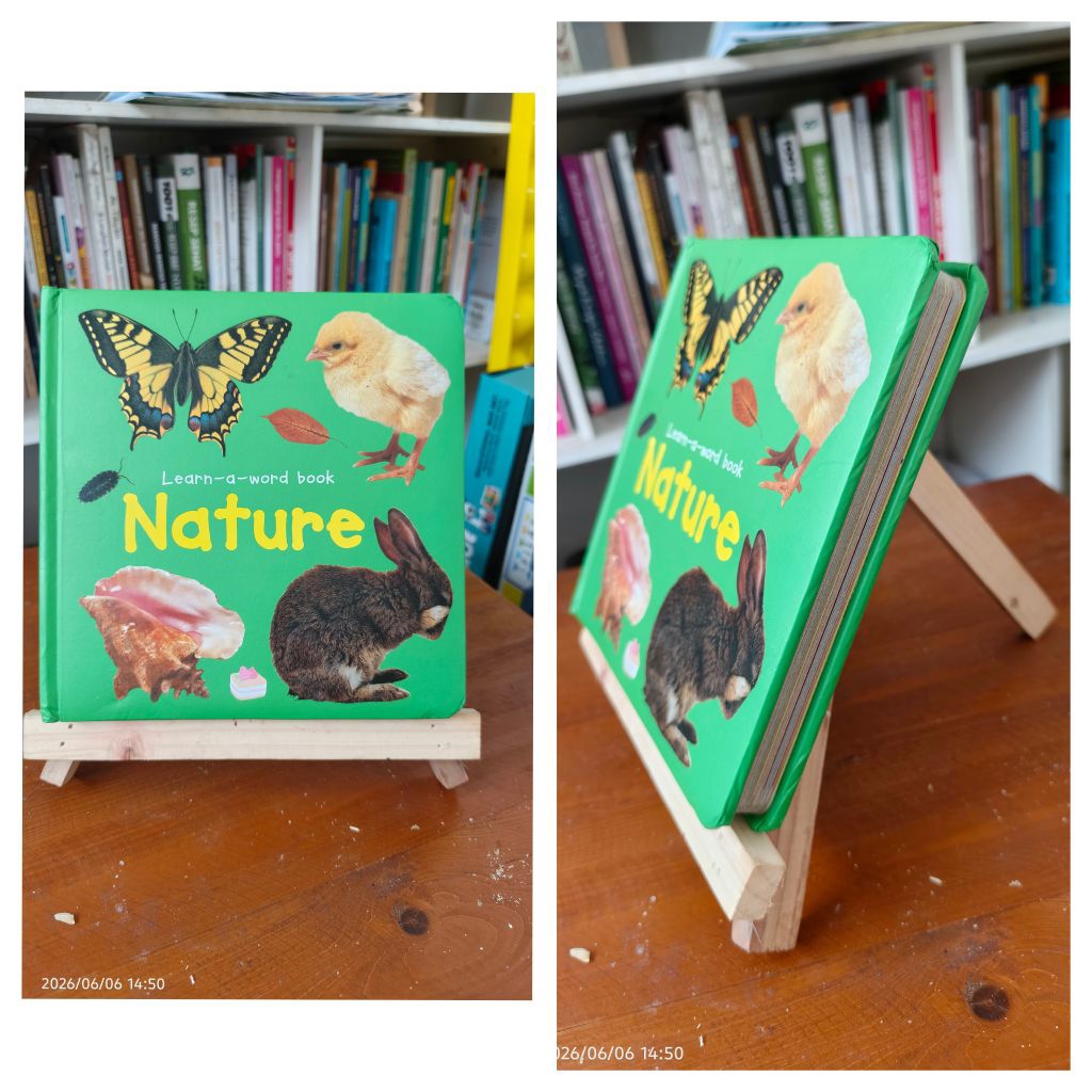 Preloved boardbook anak "Nature"