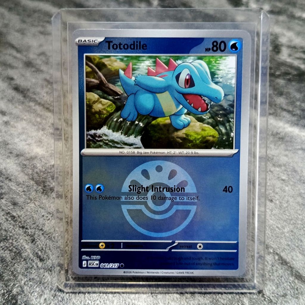 totodile holo mirror kartu pokemon asli english original dapat toploader | sedia juga kartu AR / CHR