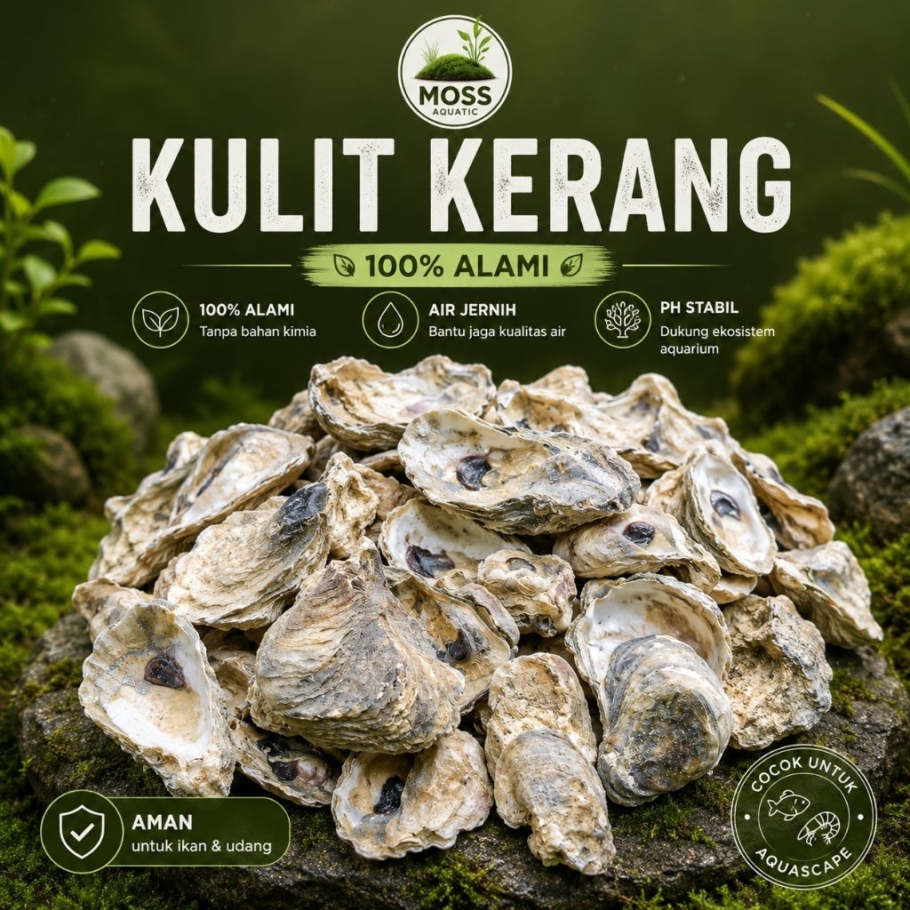 Kulit kerang oyster
