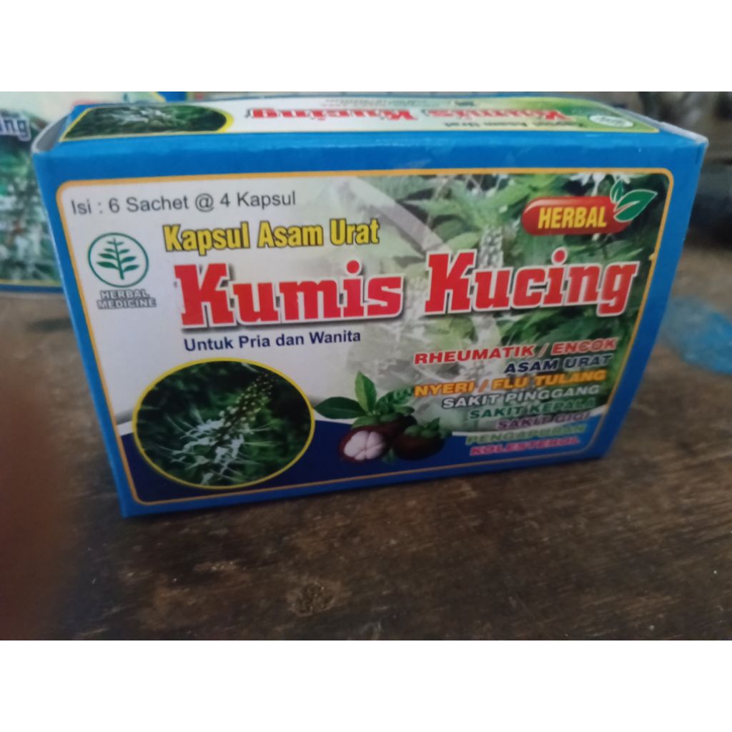 kapsul asam urat kumis kucing