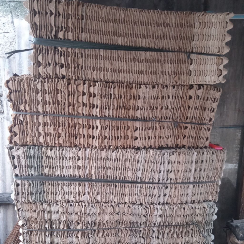 tray telur bekas murah