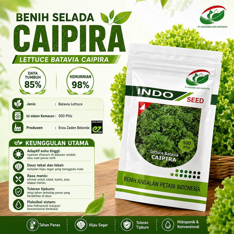 Benih Selada Caipira kemasan 500 pills