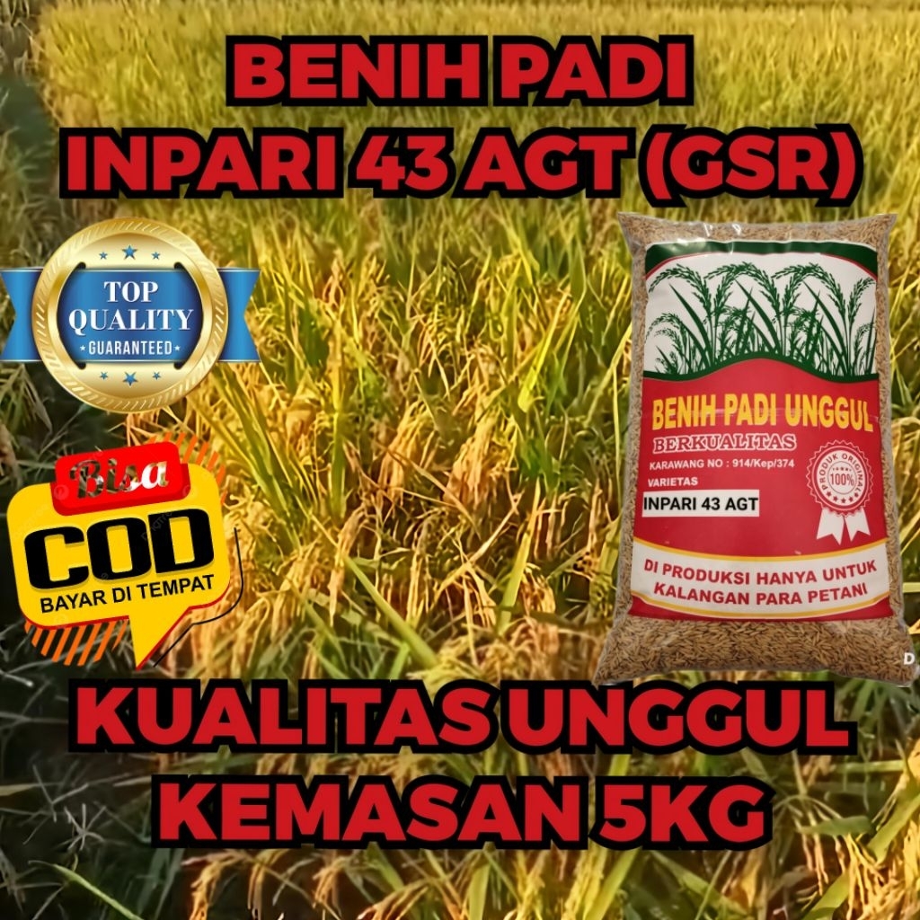 BENIH PADI INPARI 43 AGRITAN (GSR),KUALITAS UNGGUL,KEMASAN 5KG