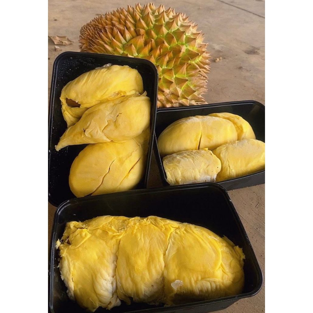 DURPAS MONTONG | DURIAN KUPAS MONTONG