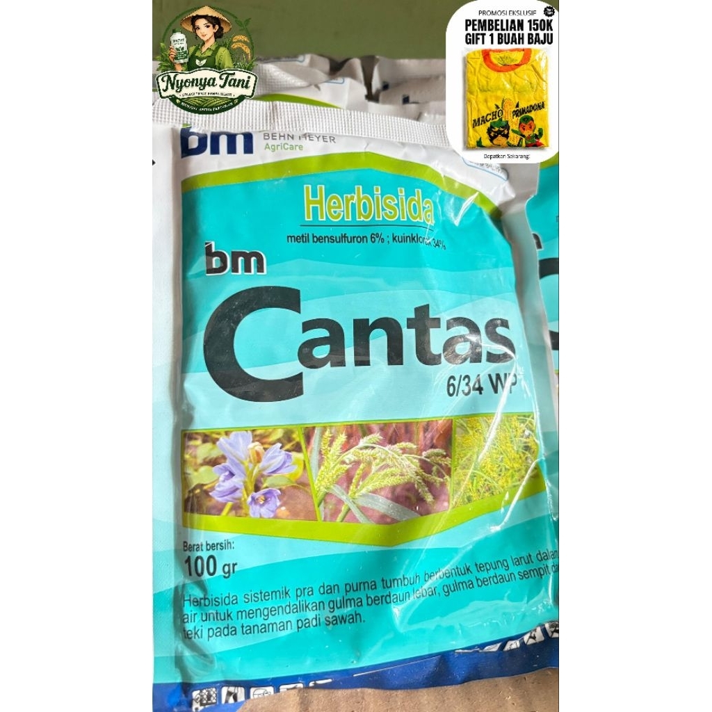 HERBISIDA BM CANTAS 6/34 WP|| 100 GRAM