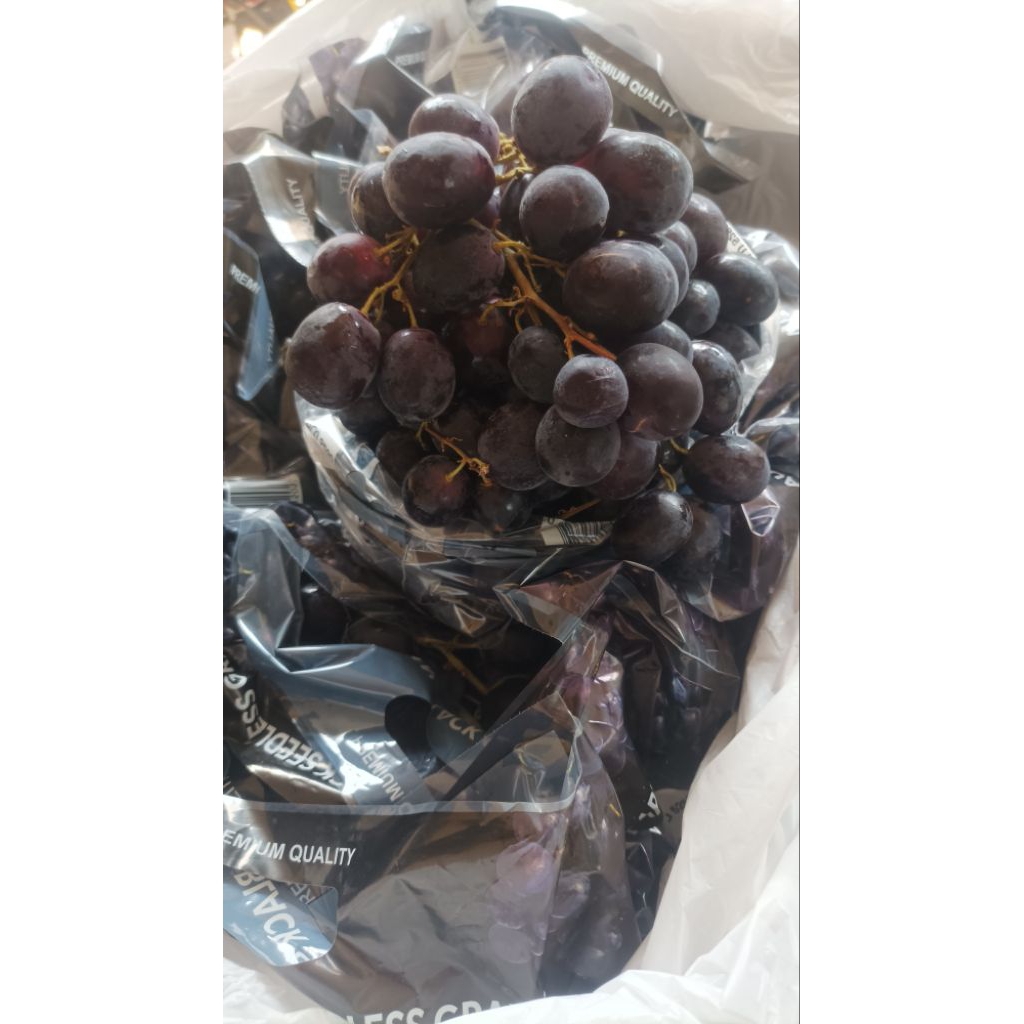 ANGGUR AUTUMN BLACK