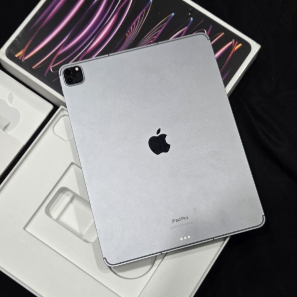 ipad pro m2 256GB 12.9 inci