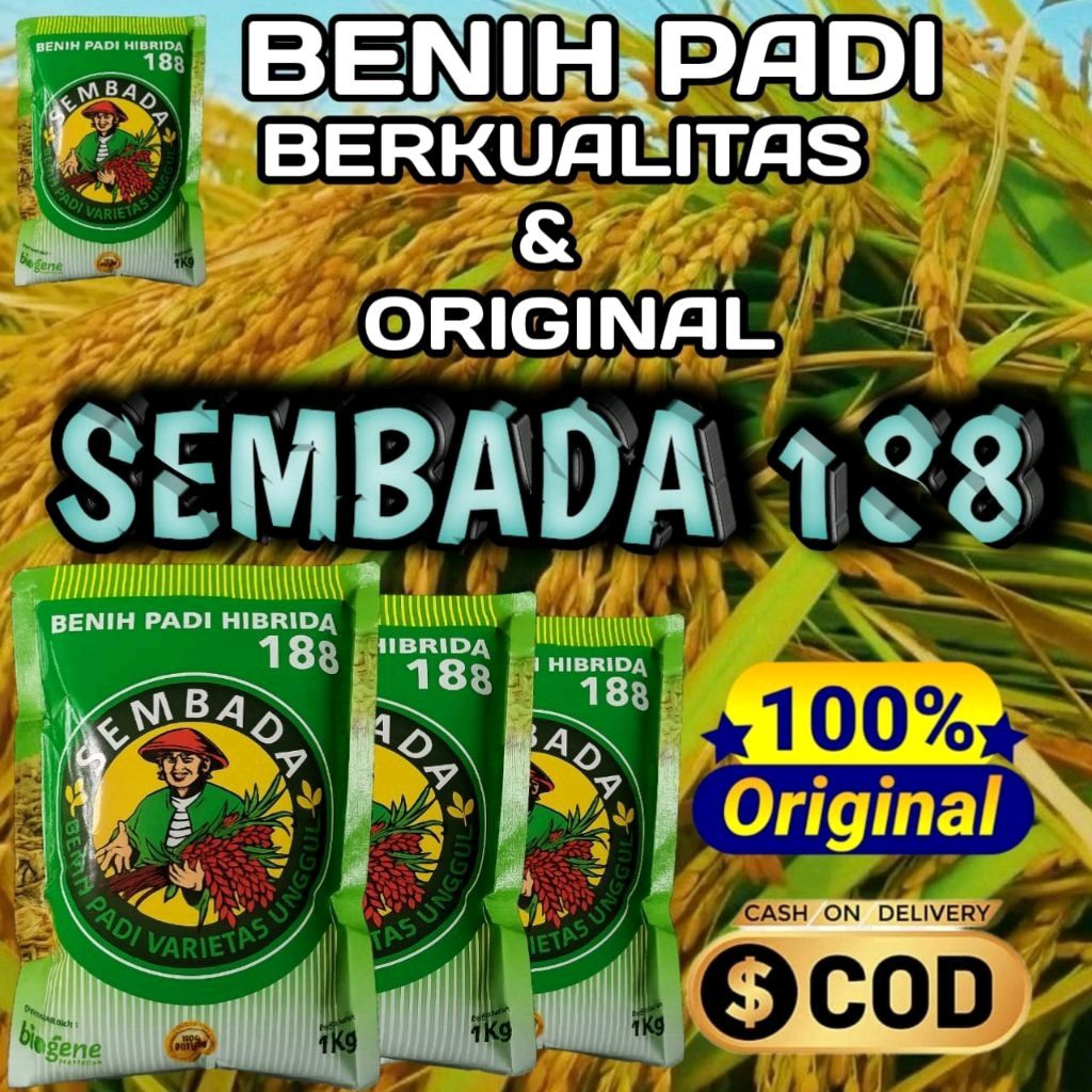 BENIH PADI SEMBADA 188 KEMASAN1kg ORIGINAL