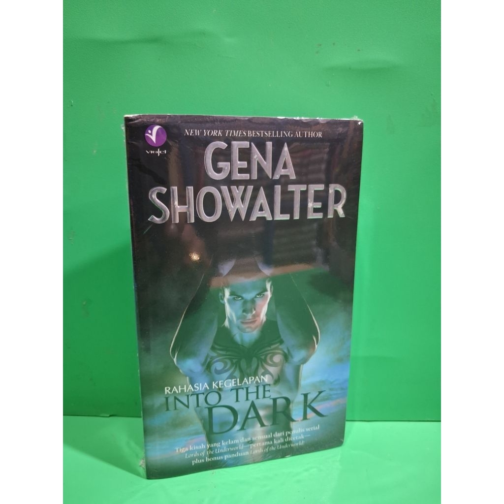 Novel dewasa ( paranormal romance ) INTO THE DARK / RAHASIA KEGELAPAN.