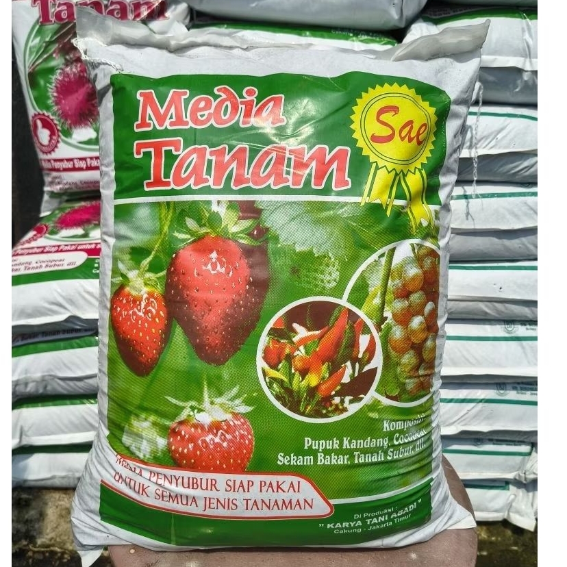 Media Tanam pupuk Super Sae 12kg Siap Pakai Tanaman Buah Sayur Cabai Stroberi Subur Gembur
