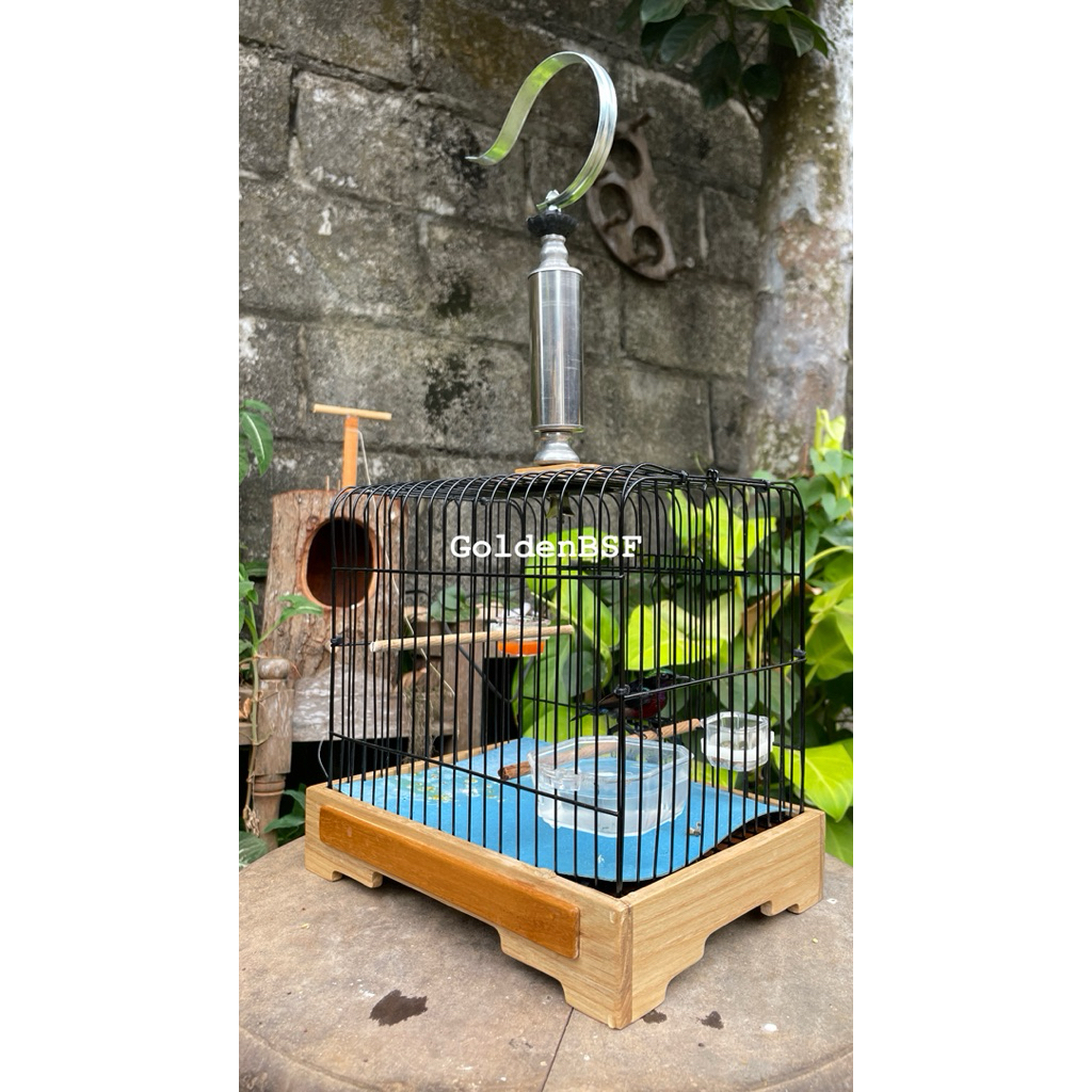 Sangkar Burung kecil , sangkar untulan , sangkar prenjak