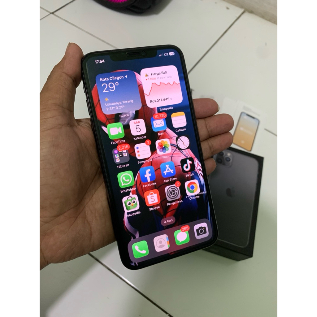 IP 11 PROMAX 256 GB