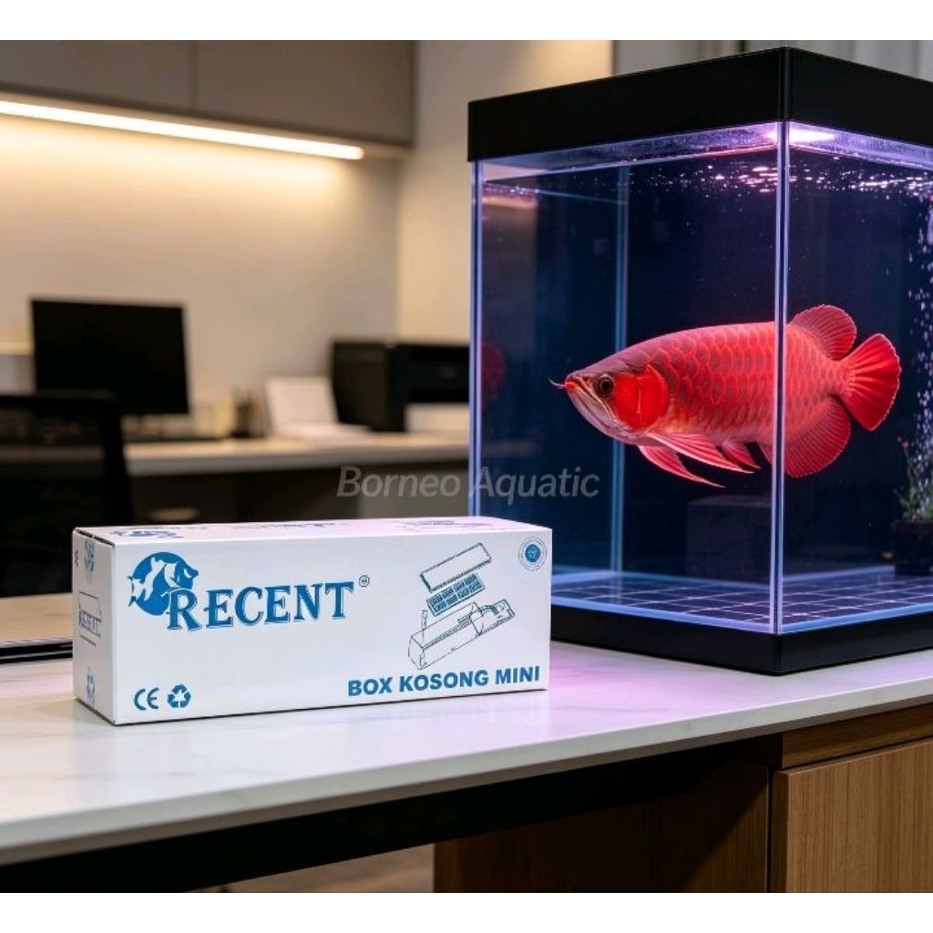 BOX KOSONG FILTER AQUARIUM  // KECIL // FILTER AQUARIUM