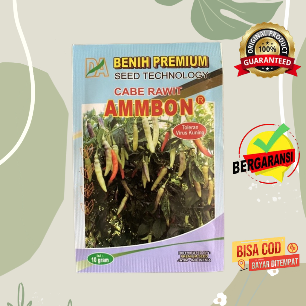Benih Cabe Ammbon 10 Gram