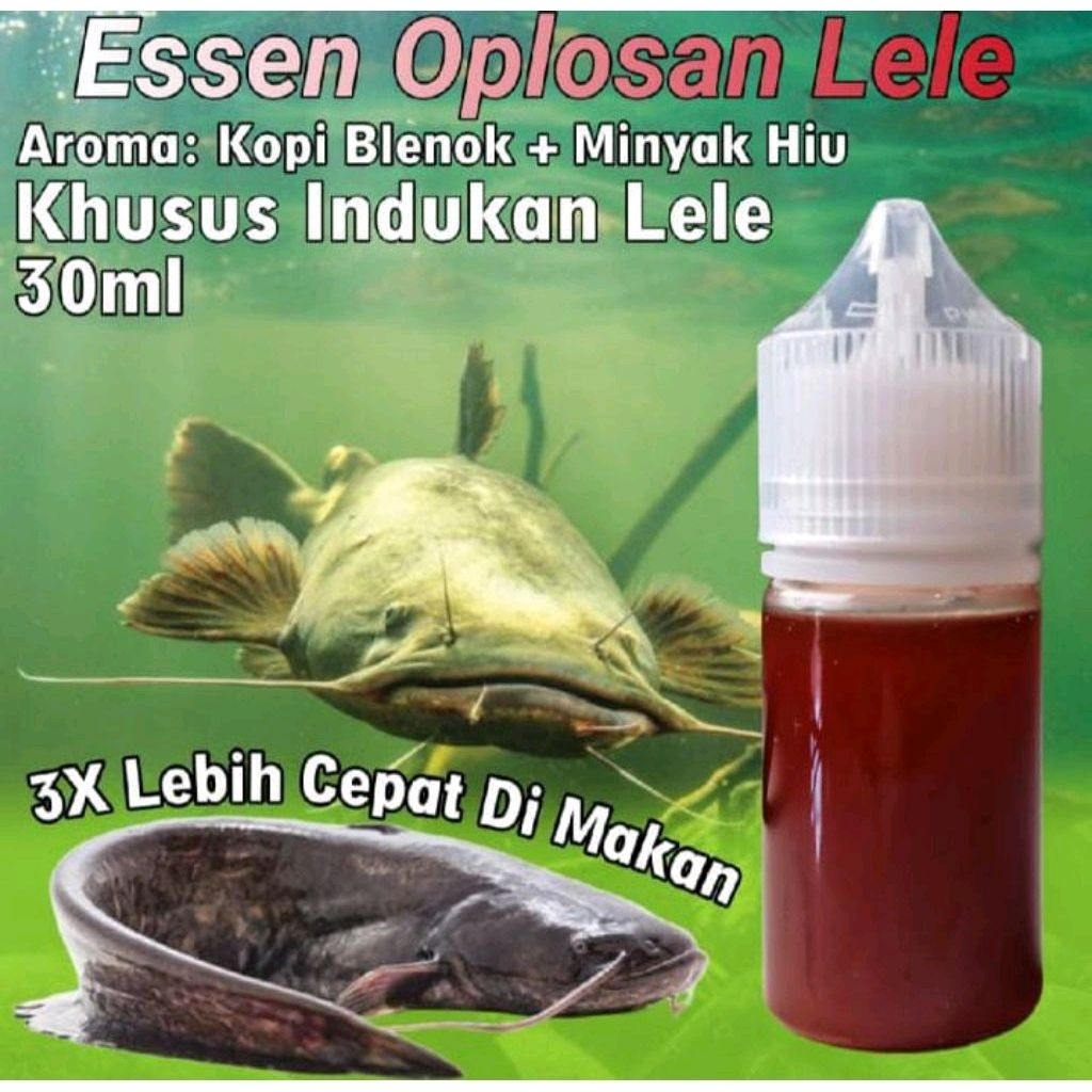Essen Ikan Lele Galatama, Essen Ikan Lele Paling Jitu, Essen Ikan Lele Rilisan, Essen Ikan Lele