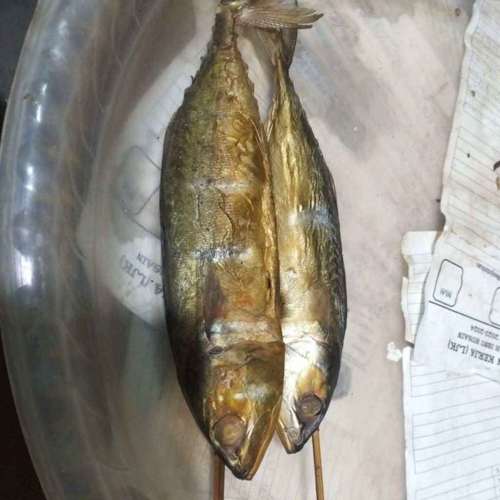 ikan asap benyar/kwanyar