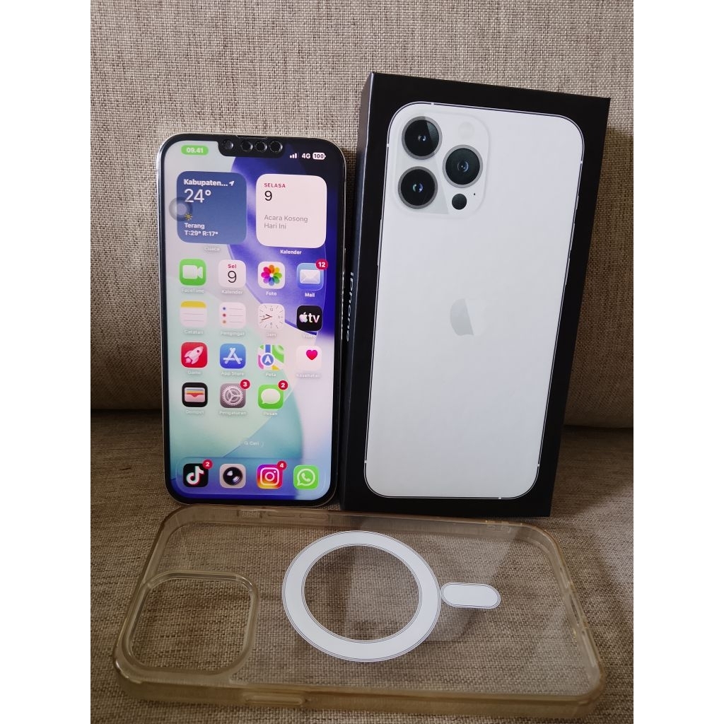 IP 13 ProMax 256GB second inter