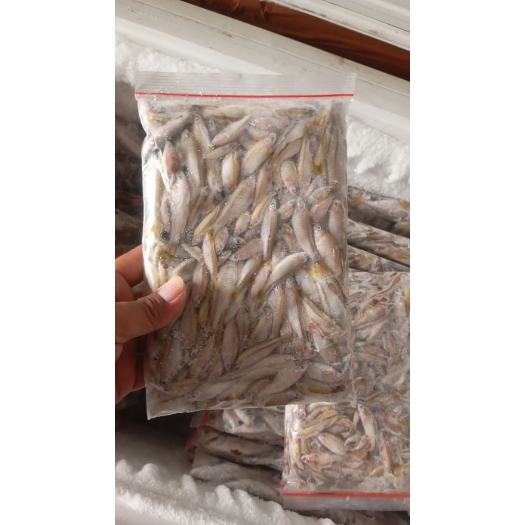 ikan wader beku fresh 500gr